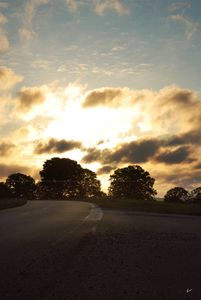 Evening road